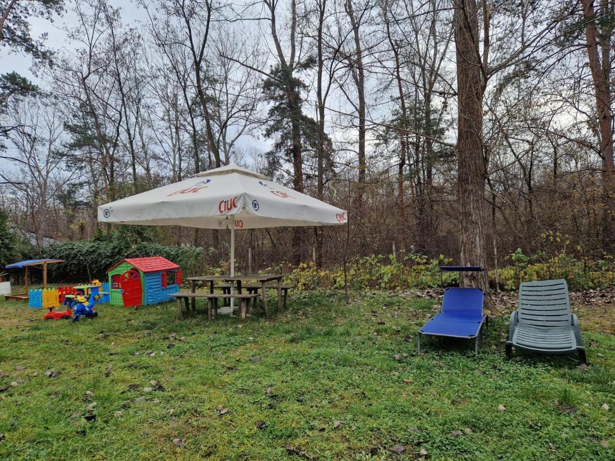 Pensiunea Carpe Diem Râmnicu Vâlcea Exteriör bild